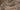 Vloertegel/Wandtegel Ariosthea Aura Onyx Brown Marmer Bruin Glans 60x120 - Budget Tegels