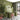 Wandtegel Equipe Ceramica Coco Verd Groen Glans 5x15 - Budget Tegels